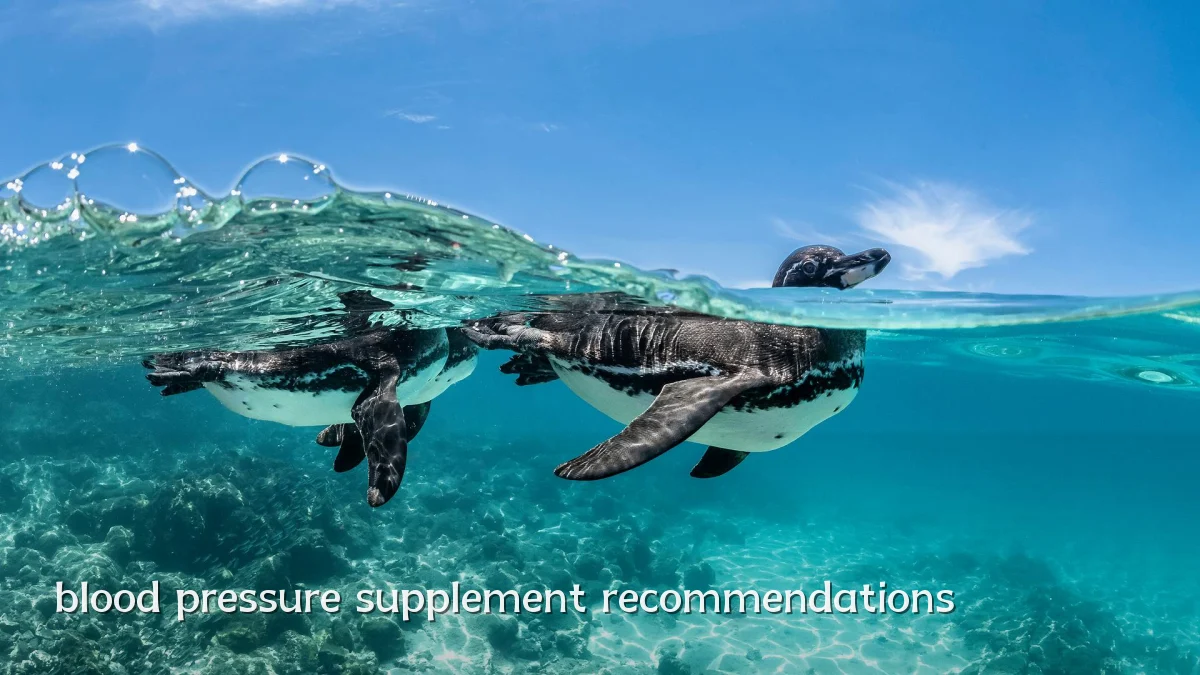 blood pressure supplement recommendations