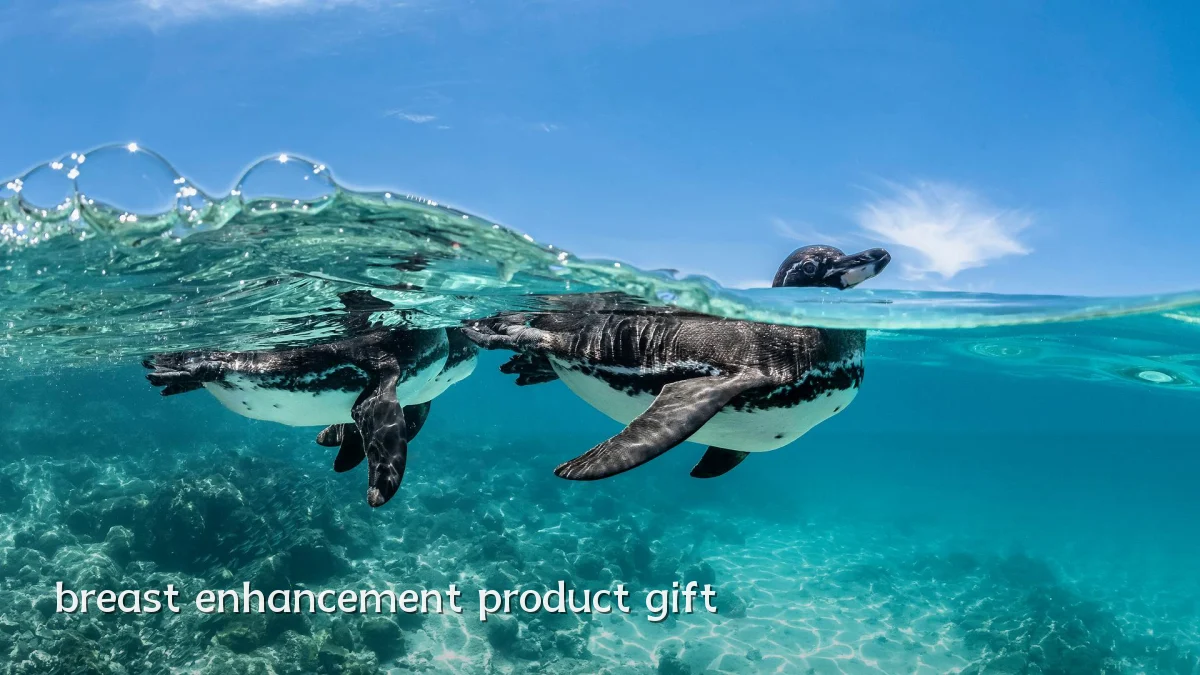 breast enhancement product gift