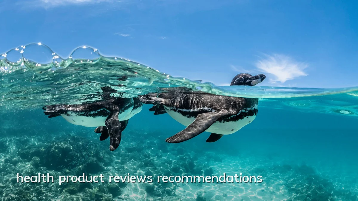 health product reviews recommendations