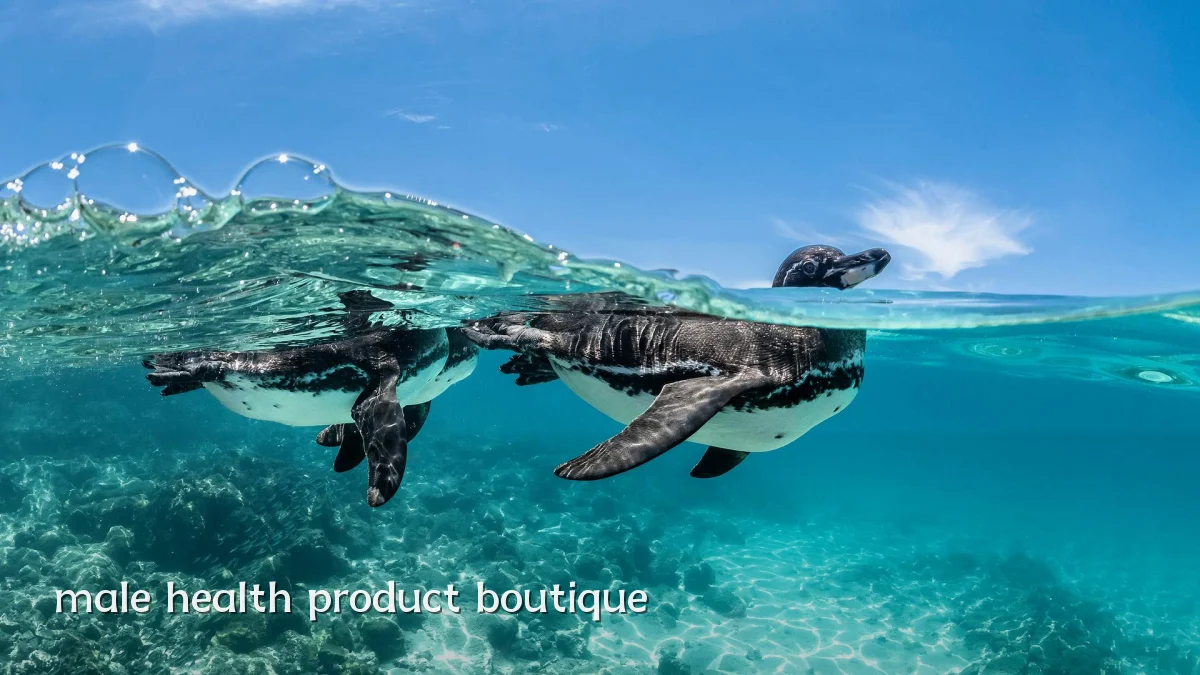 male health product boutique