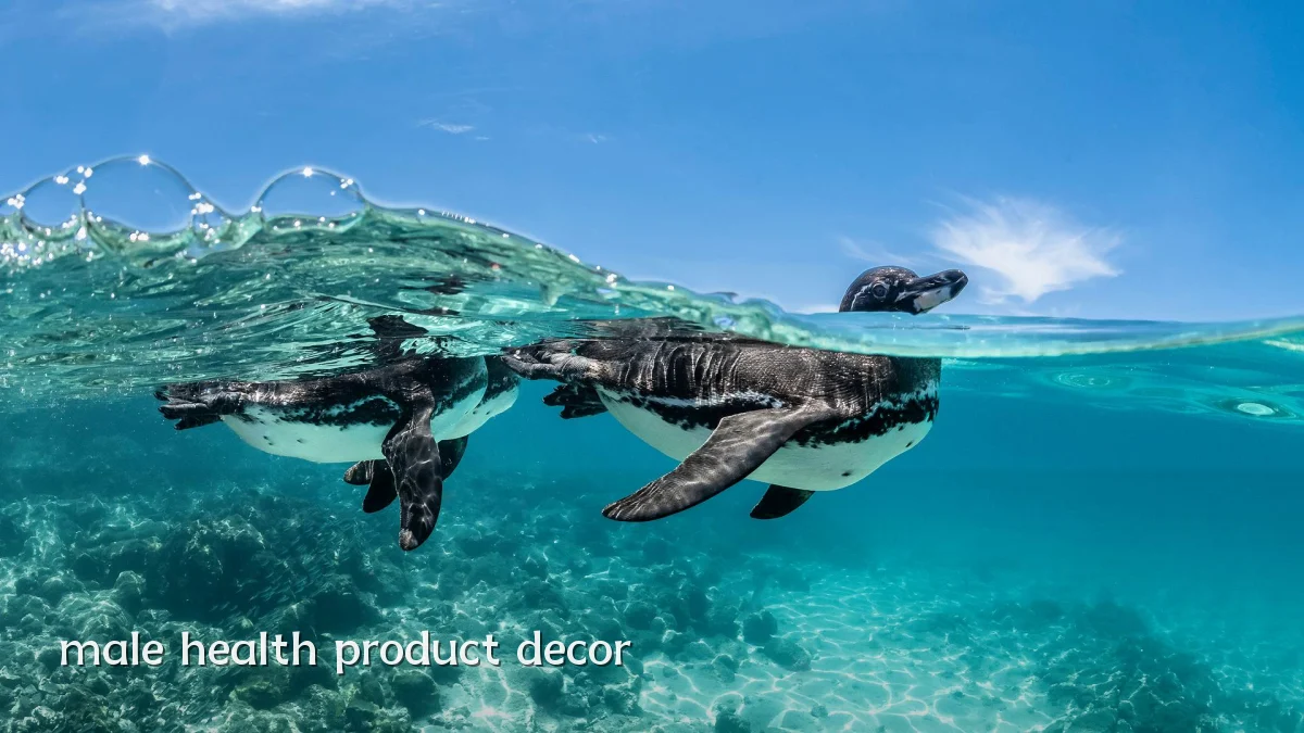 male health product decor