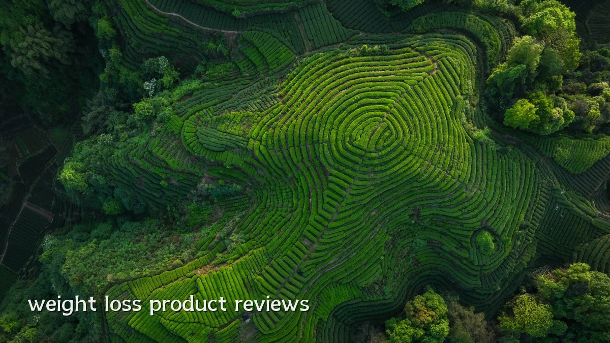 weight loss product reviews