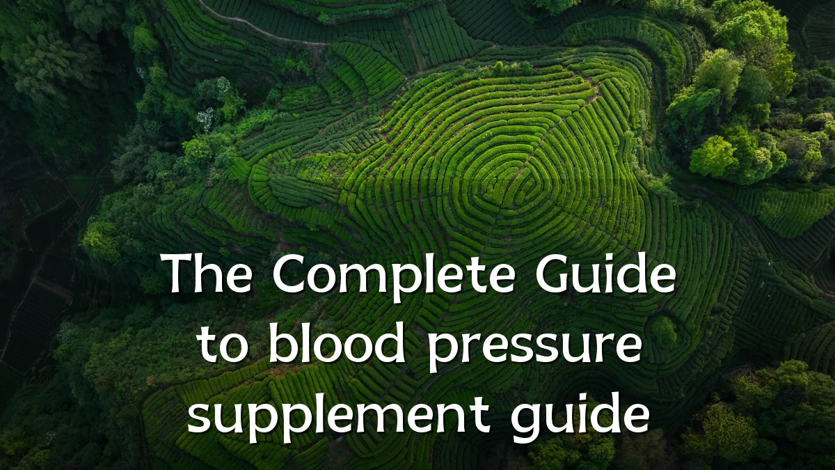 The Complete Guide to blood pressure supplement guide