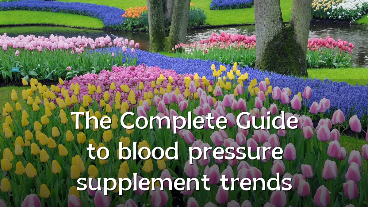 The Complete Guide to blood pressure supplement trends