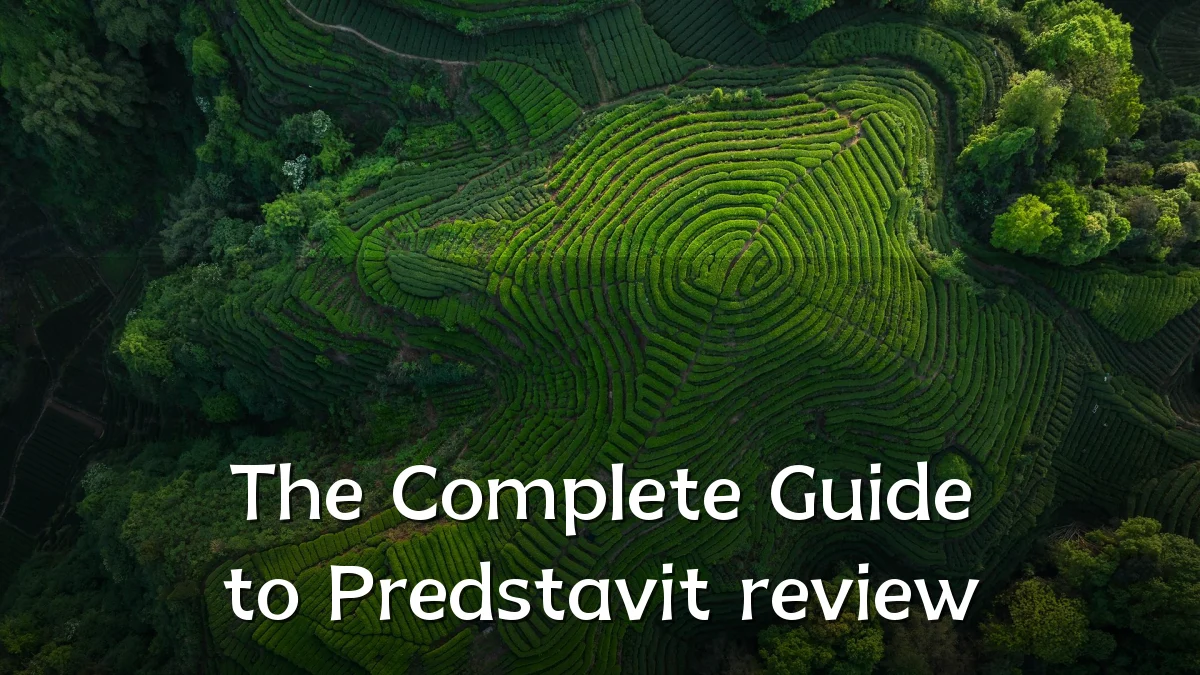 The Complete Guide to Predstavit review