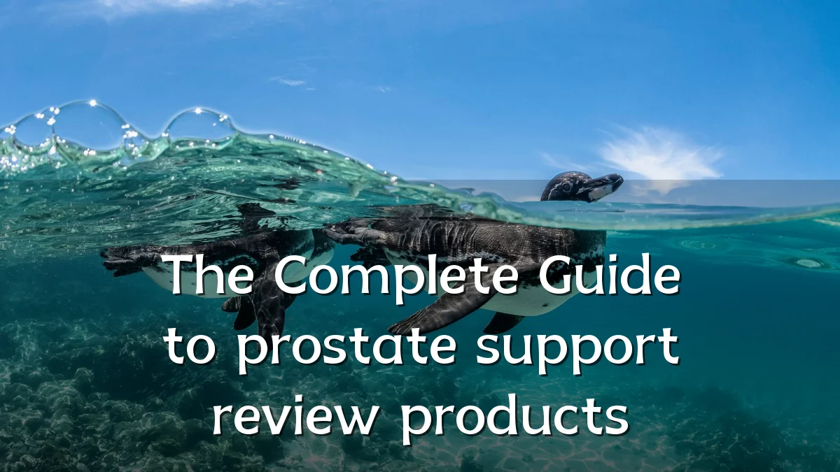 The Complete Guide to prostate support review products