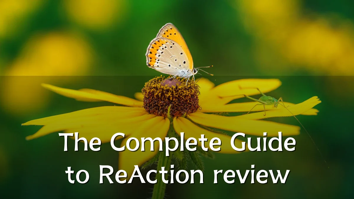The Complete Guide to ReAction review