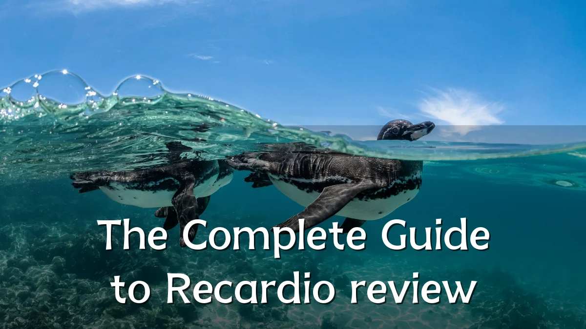 The Complete Guide to Recardio review