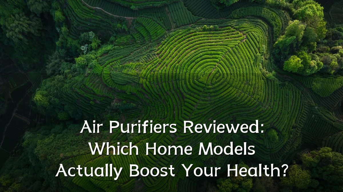 Air Purifiers Reviewed: Which Home Models Actually Boost Your Health?
