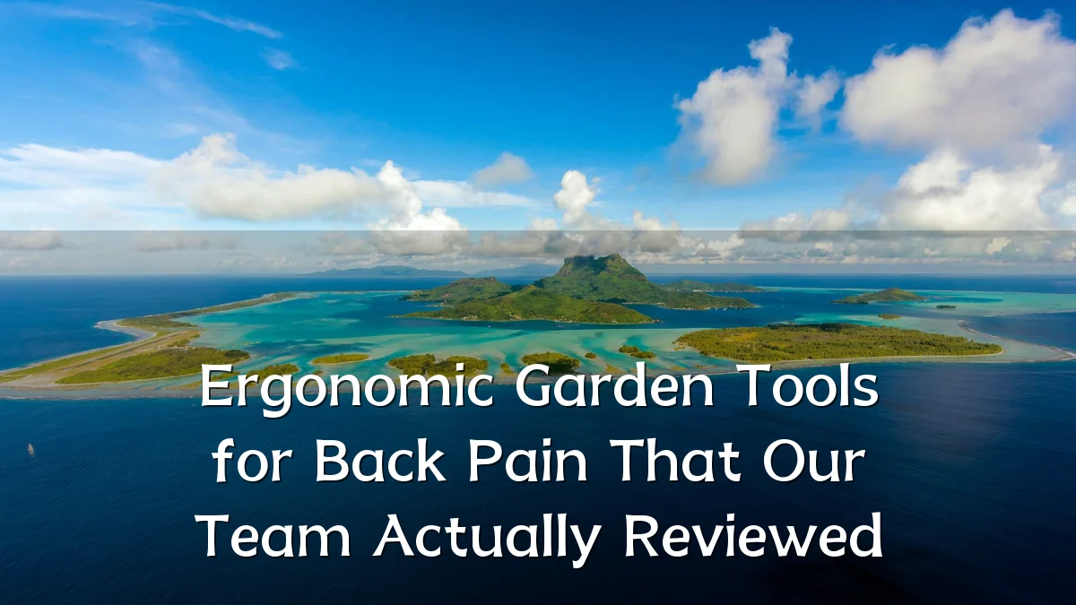 Ergonomic Garden Tools for Back Pain That Our Team Actually Reviewed