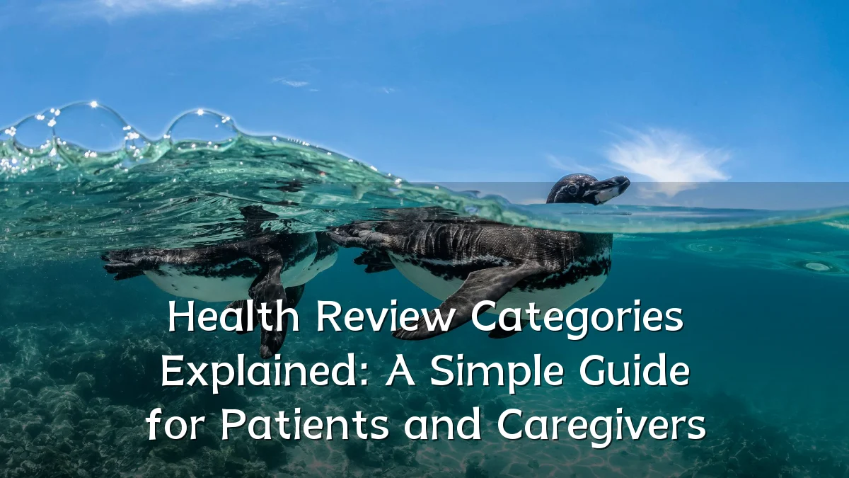 Health Review Categories Explained: A Simple Guide for Patients and Caregivers