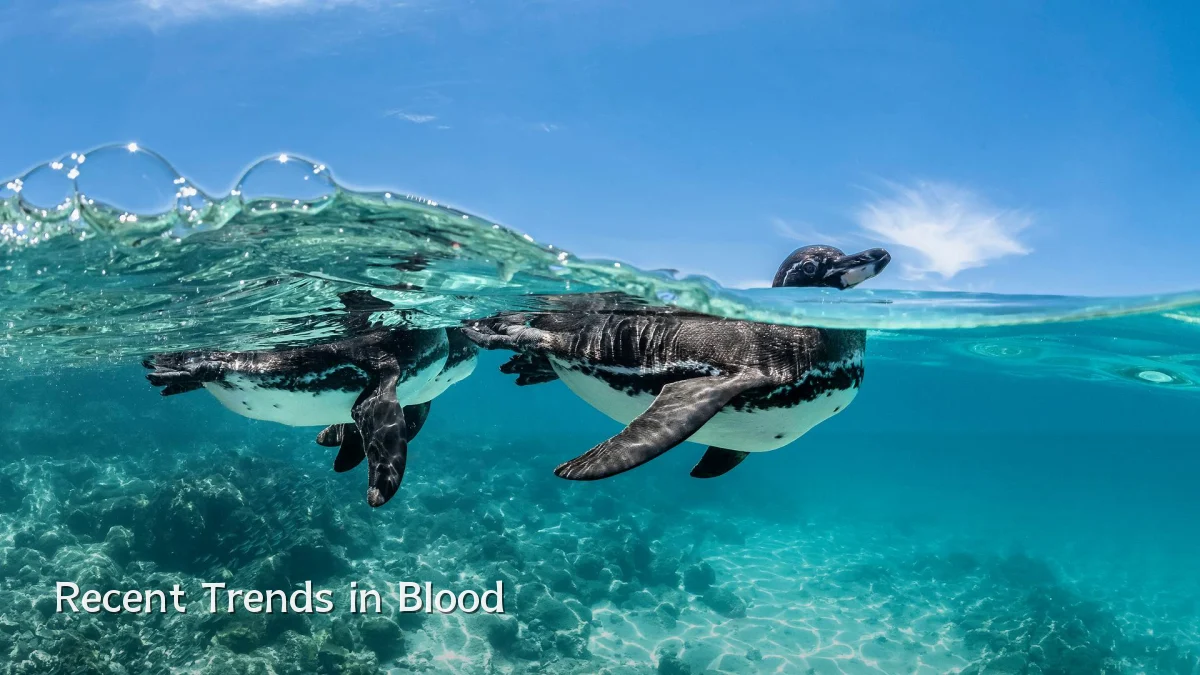 Recent Trends in Blood