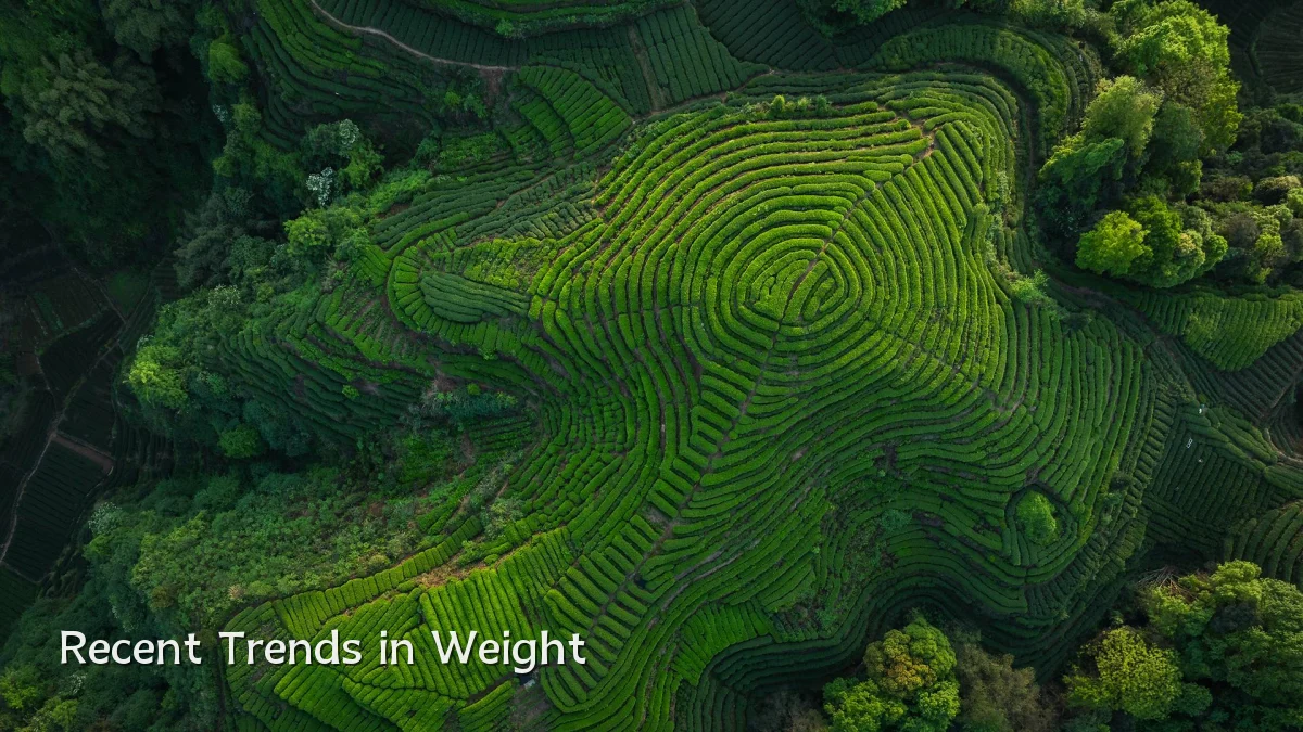 Recent Trends in Weight