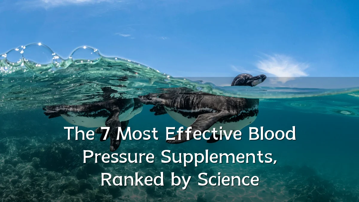 The 7 Most Effective Blood Pressure Supplements, Ranked by Science