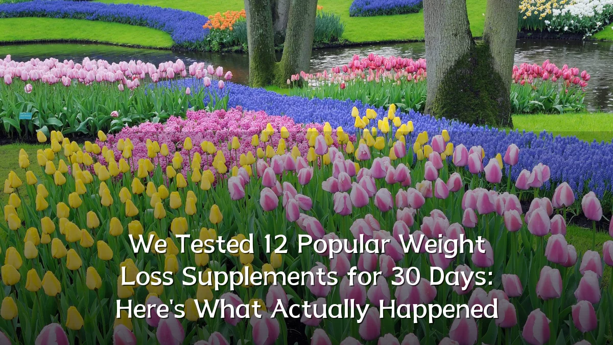 We Tested 12 Popular Weight Loss Supplements for 30 Days: Here's What Actually Happened