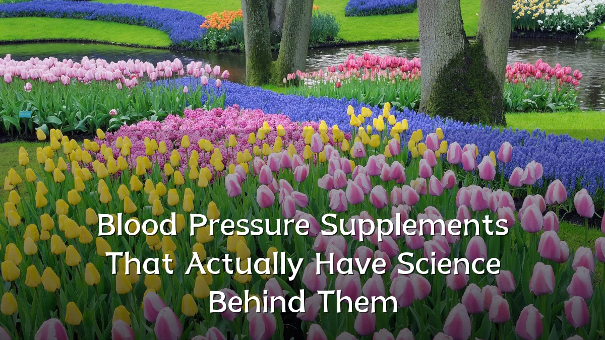 Blood Pressure Supplements That Actually Have Science Behind Them
