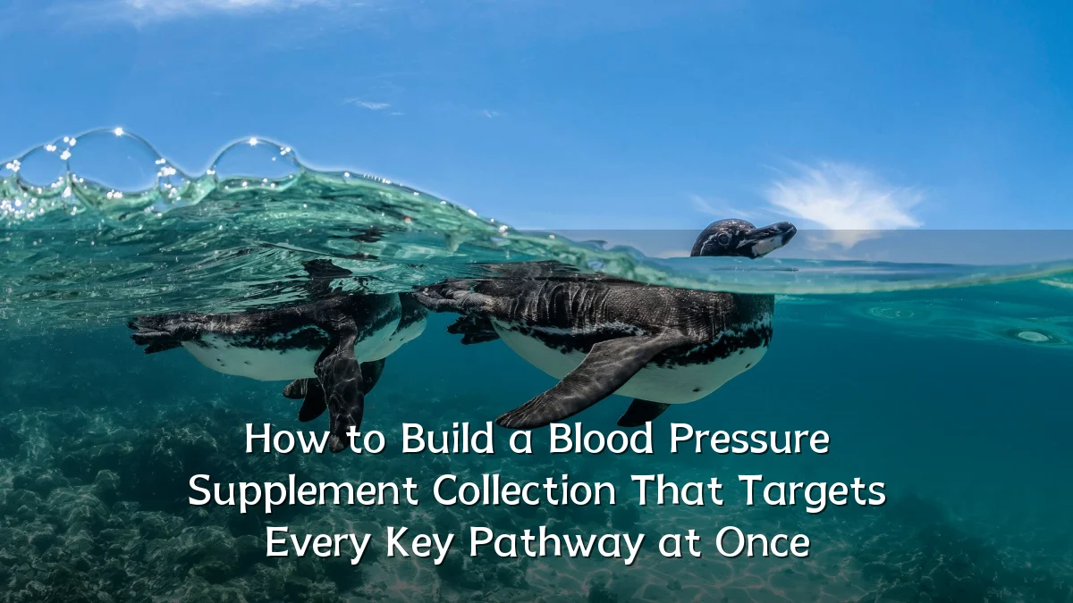 How to Build a Blood Pressure Supplement Collection That Targets Every Key Pathway at Once