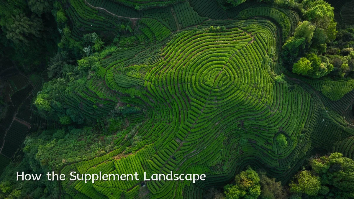 How the Supplement Landscape