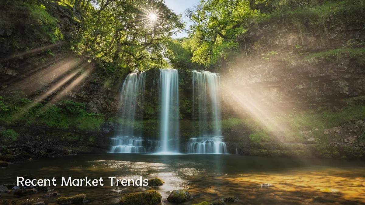 Recent Market Trends