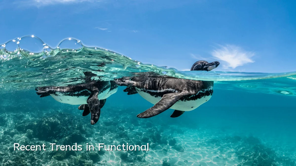 Recent Trends in Functional