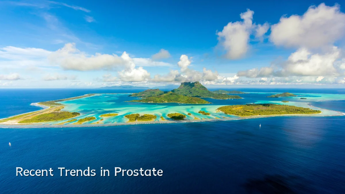 Recent Trends in Prostate
