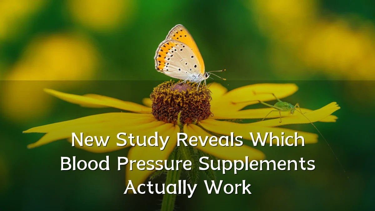 New Study Reveals Which Blood Pressure Supplements Actually Work