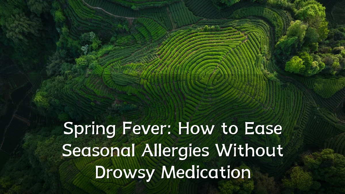 Spring Fever: How to Ease Seasonal Allergies Without Drowsy Medication