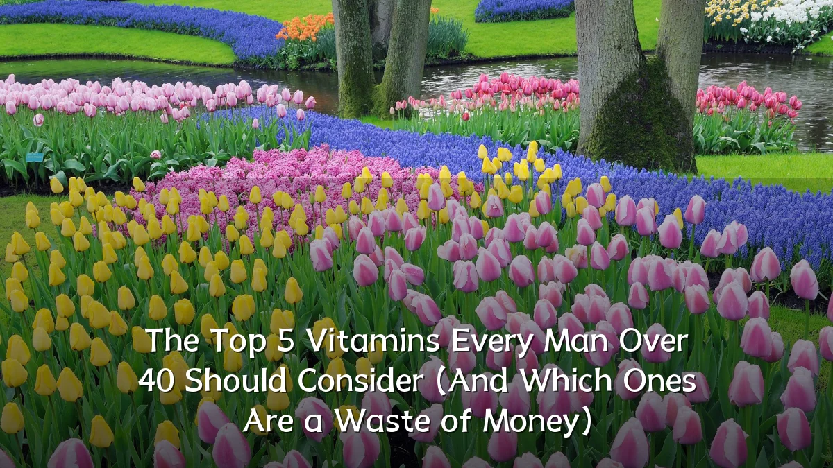 The Top 5 Vitamins Every Man Over 40 Should Consider (And Which Ones Are a Waste of Money)
